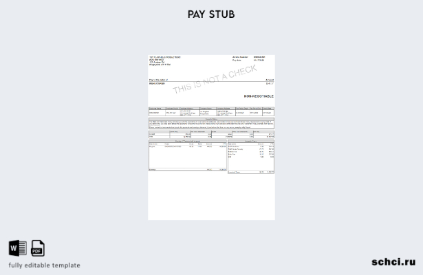 цифровая загрузка шаблона Playable Productions Paystub